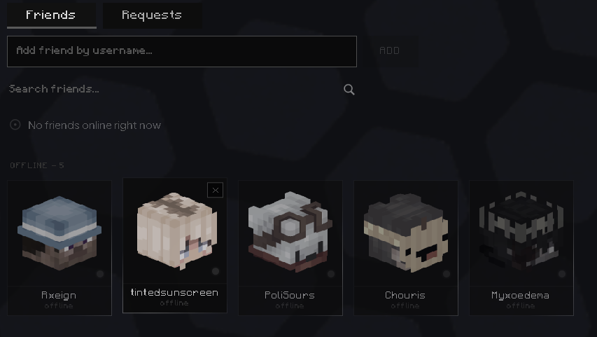 Friends list in the BejaClient launcher
